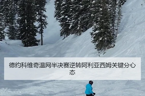 de-yue-ke-wei-qi-wen-wang-ban-jue-sai-ni-zhuan-a-li-ya-xi-mu-guan-jian-fen-xin-tai-2-315.jpg